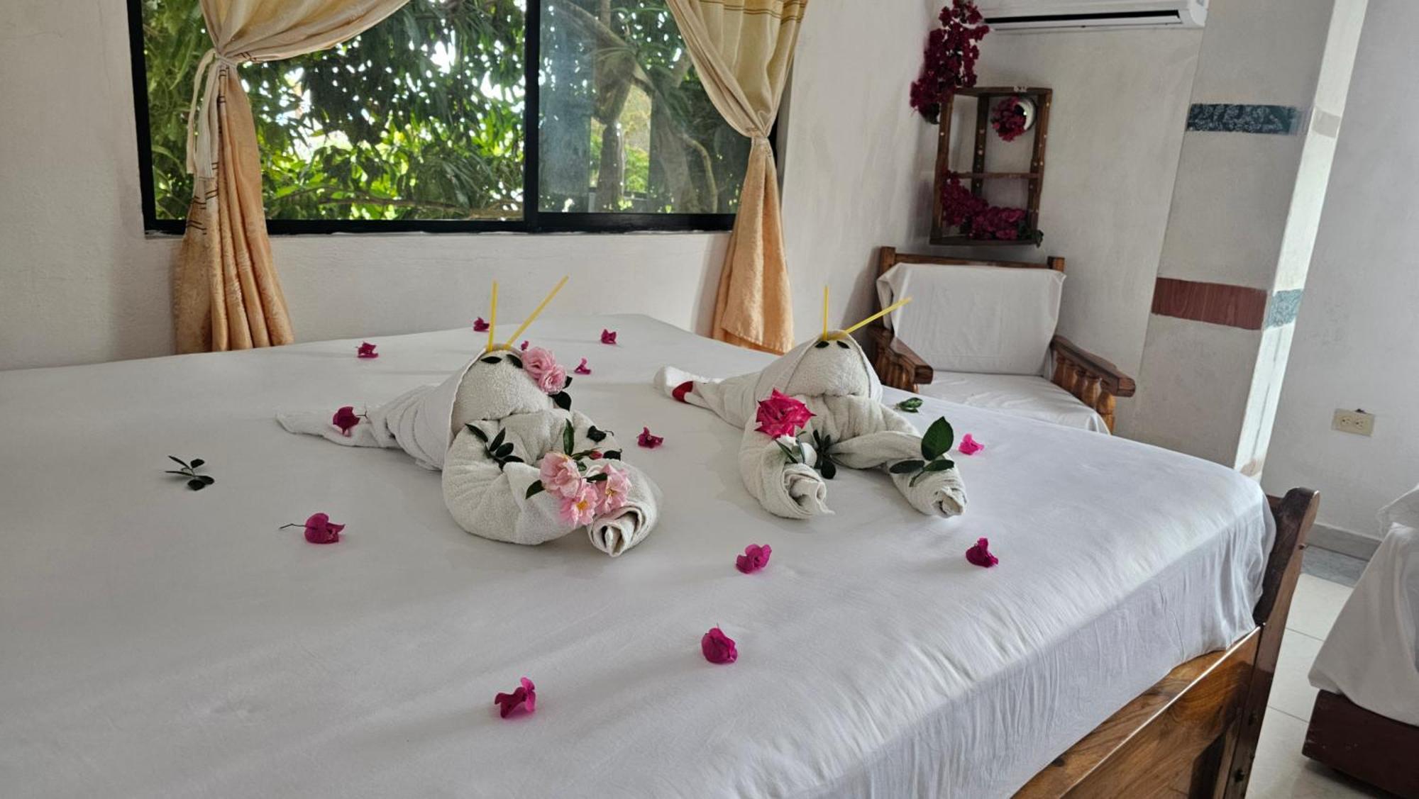 Flor's House Homestay San Cristobal