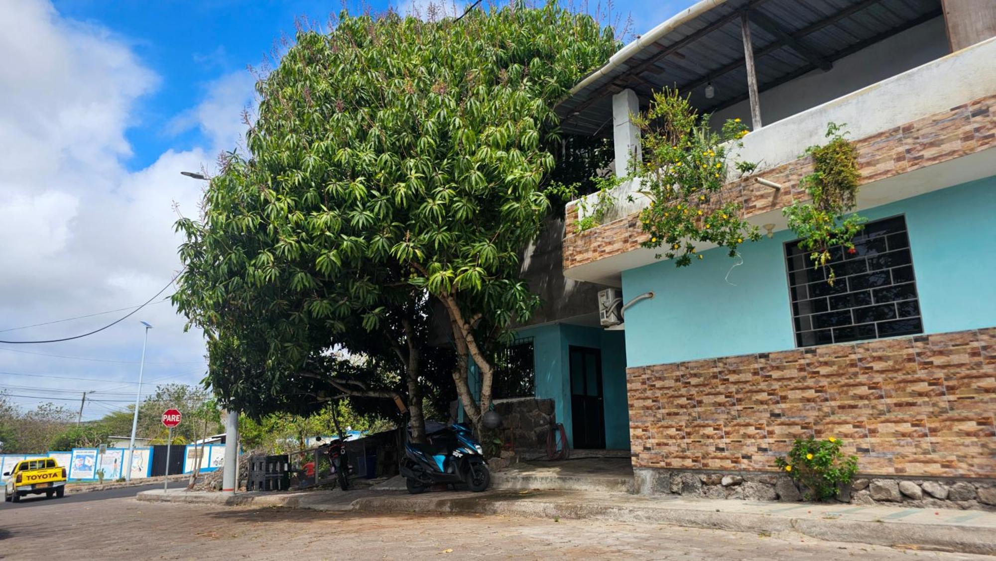 Flor's House San Cristóbal